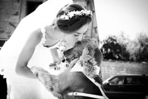 Elisa Guidarelli wedding dog sitter intervista nozze in città