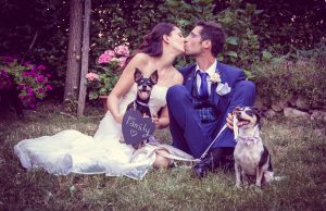Elisa Guidarelli wedding dog sitter intervista nozze in città
